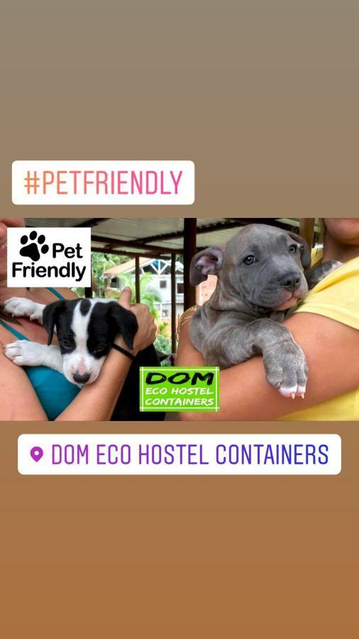 Dom Eco Hostel Containers São Sebastião Kültér fotó